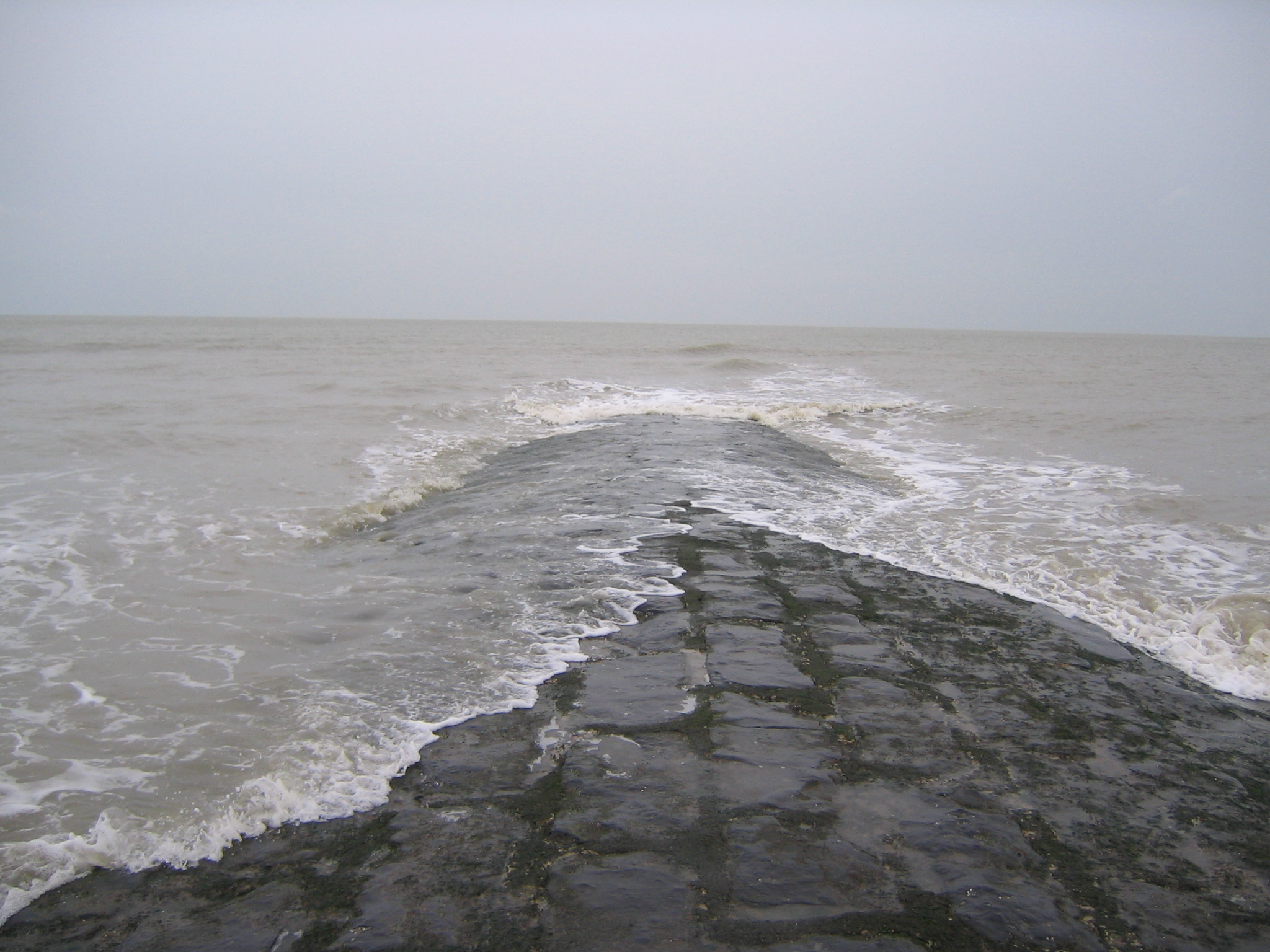 2009NWK024.jpg