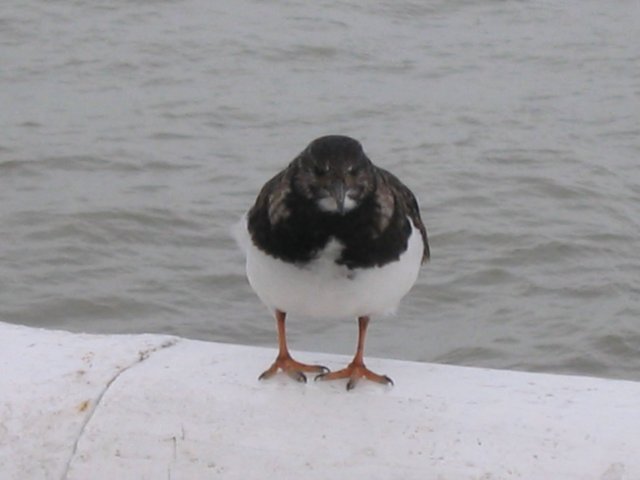 2009NWK017.jpg