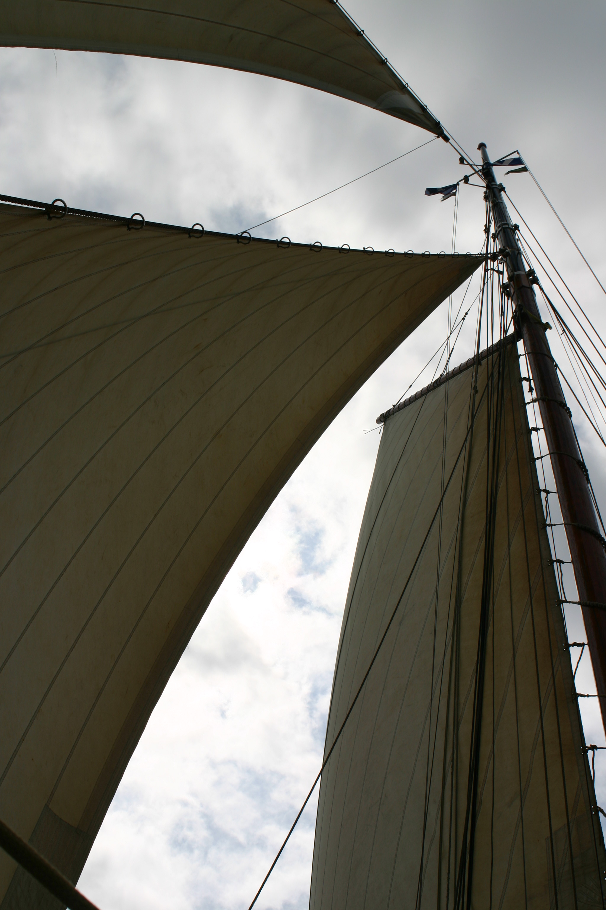 2009Zeilen012.jpg