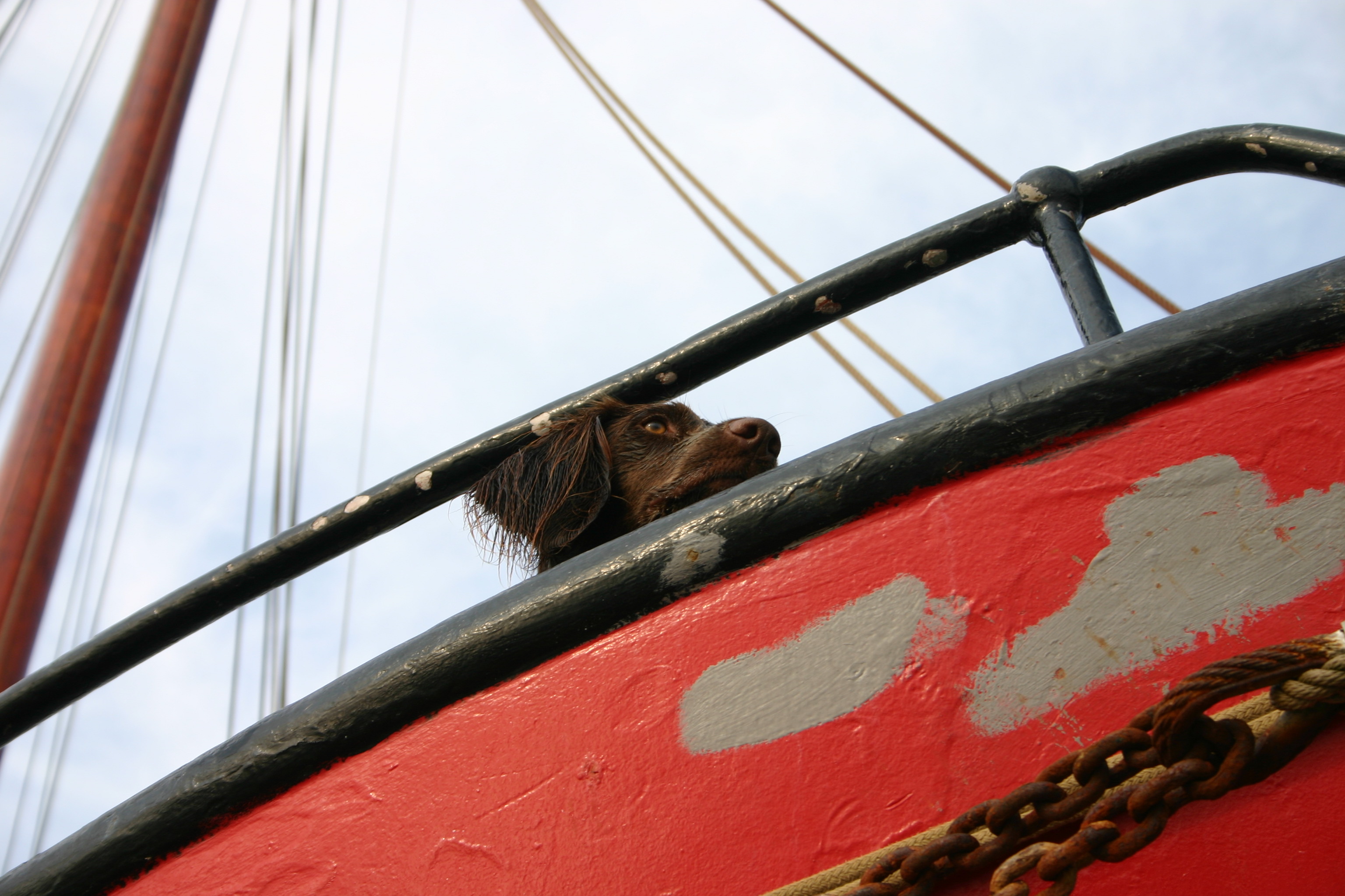 2009Zeilen098.jpg