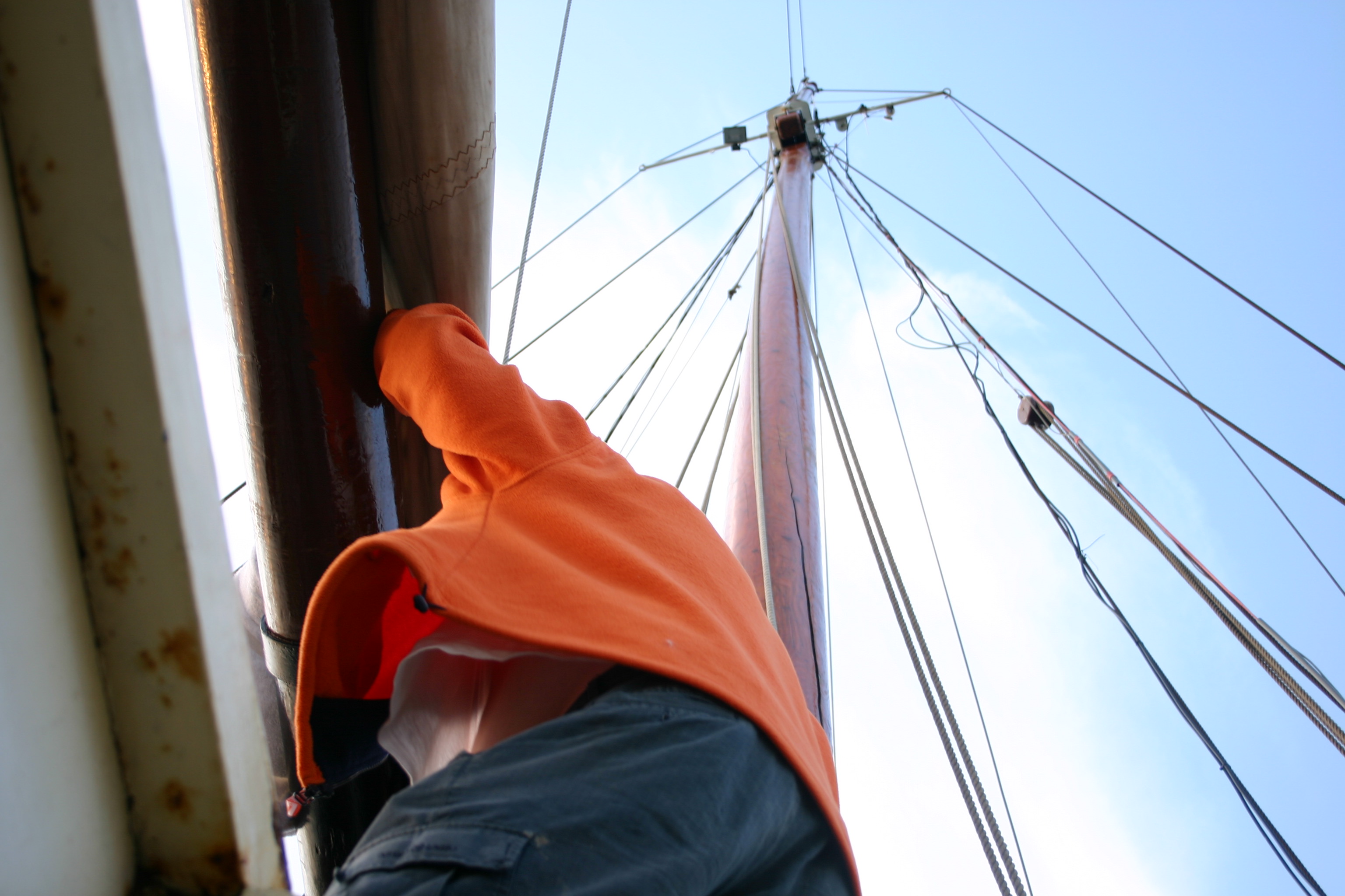 2009Zeilen147.jpg