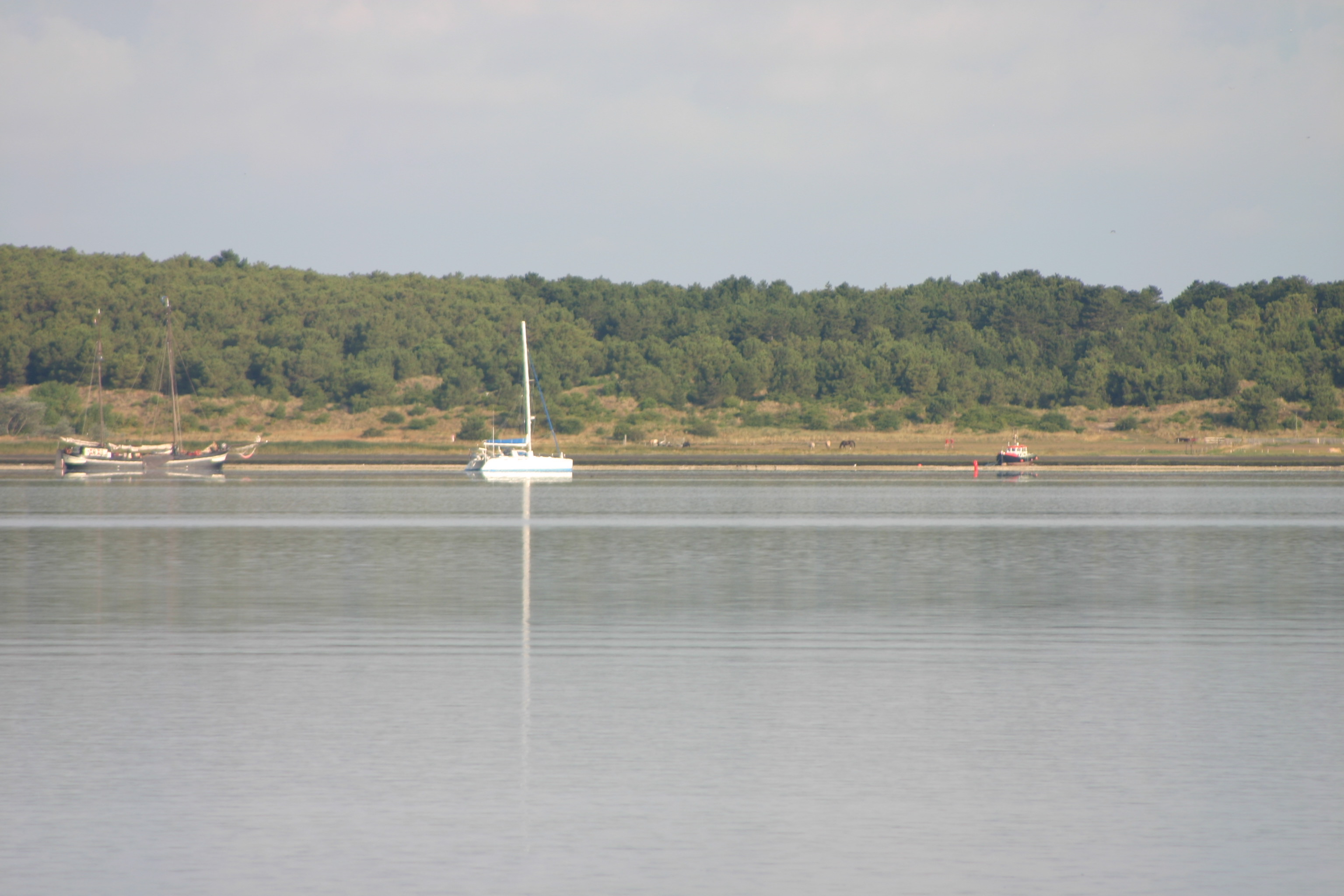 2009Zeilen162.jpg