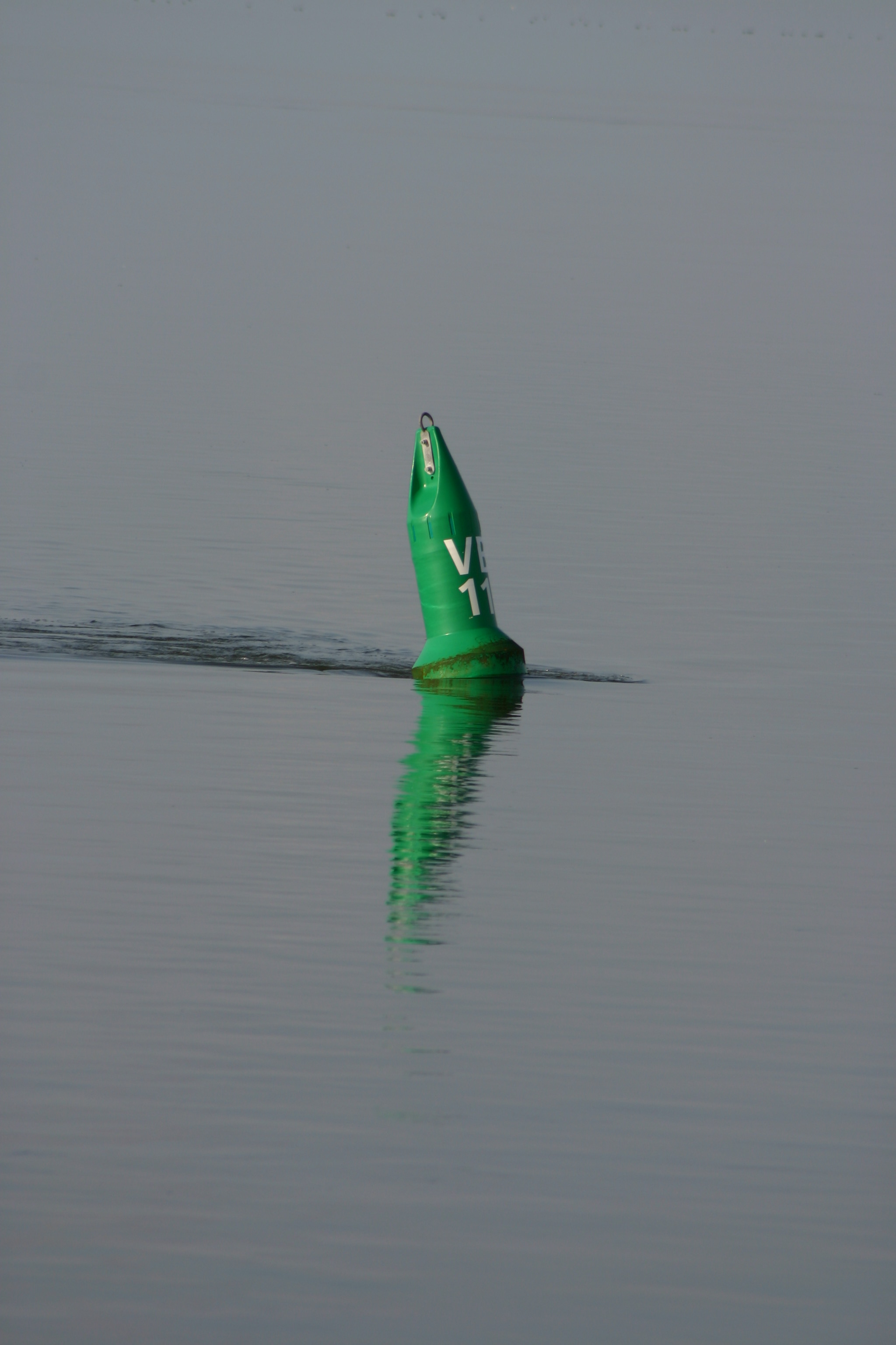 2009Zeilen170.jpg