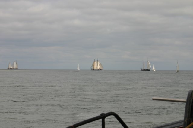 2009Zeilen008.jpg