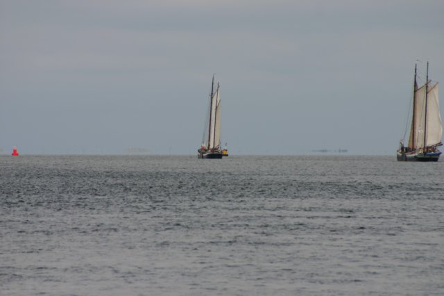 2009Zeilen022.jpg