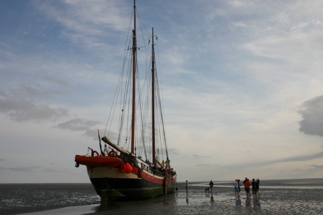 2009Zeilen056.jpg