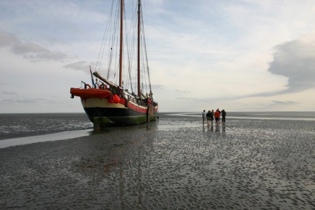2009Zeilen059.jpg