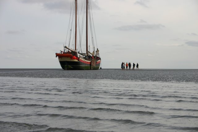 2009Zeilen060.jpg