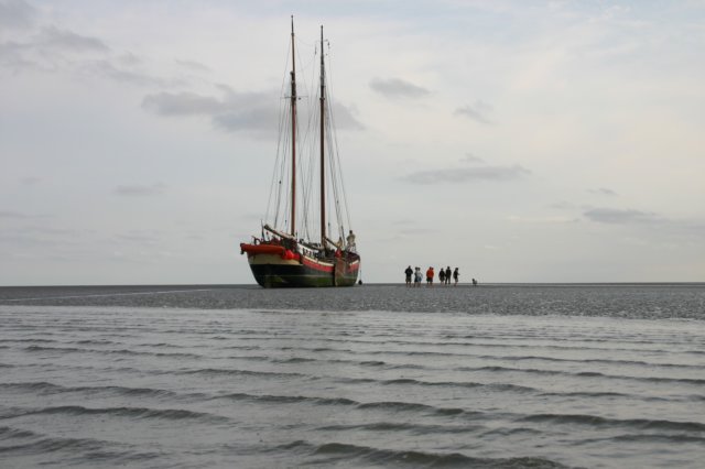 2009Zeilen061.jpg