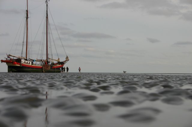 2009Zeilen067.jpg