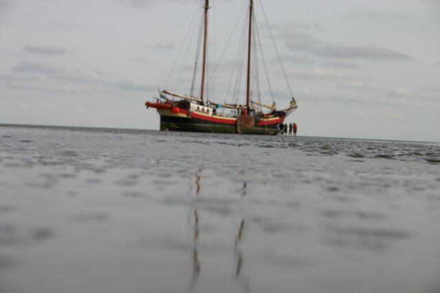 2009Zeilen068.jpg