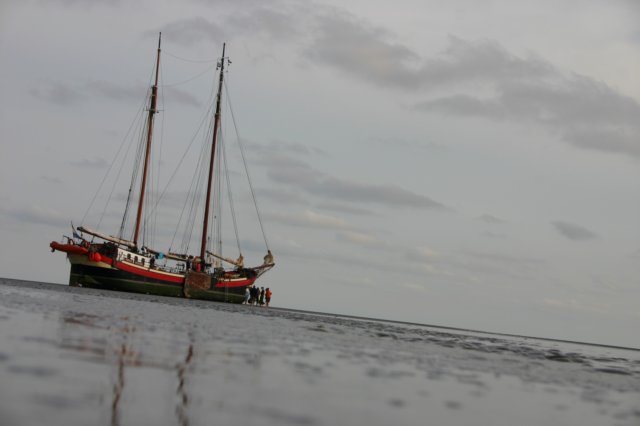 2009Zeilen069.jpg