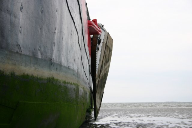 2009Zeilen088.jpg