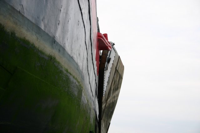 2009Zeilen089.jpg