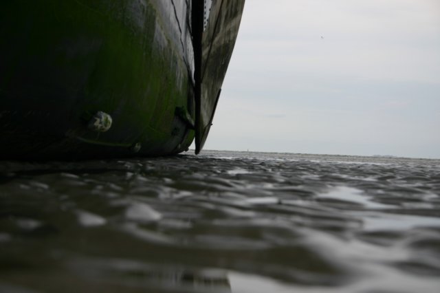 2009Zeilen090.jpg