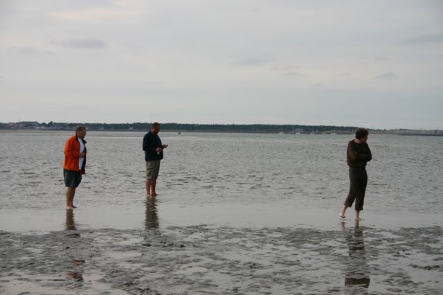 2009Zeilen093.jpg
