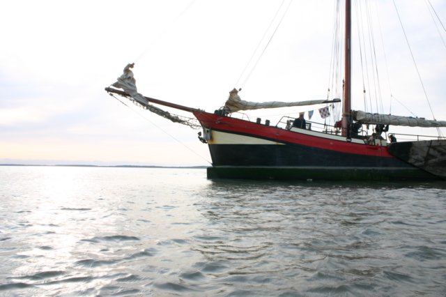 2009Zeilen128.jpg