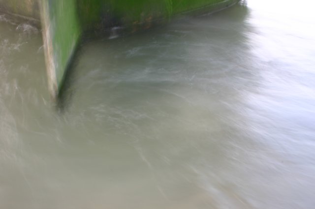 2009Zeilen137.jpg