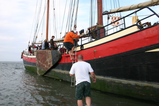 2009Zeilen140.jpg