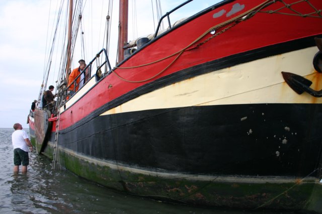 2009Zeilen141.jpg