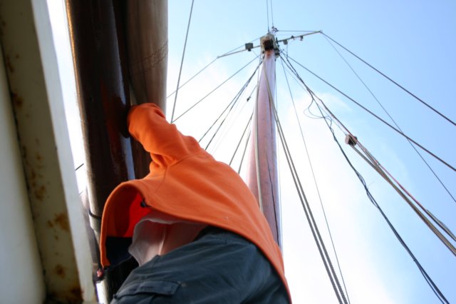 2009Zeilen147.jpg