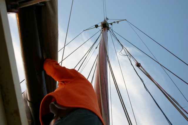 2009Zeilen148.jpg