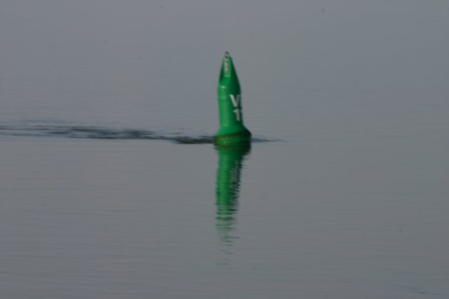 2009Zeilen171.jpg