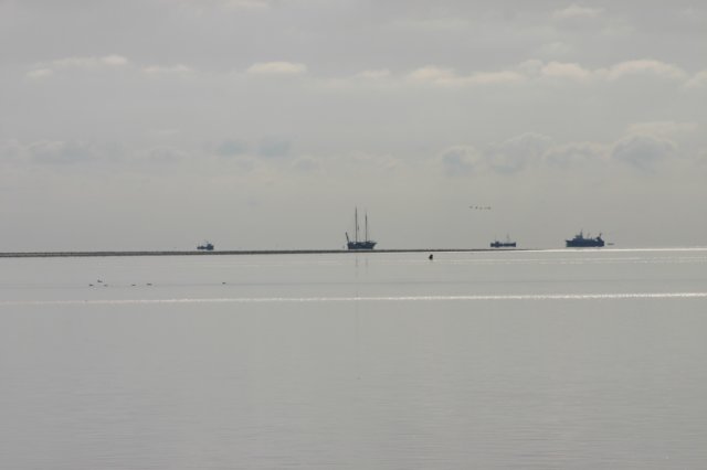 2009Zeilen172.jpg
