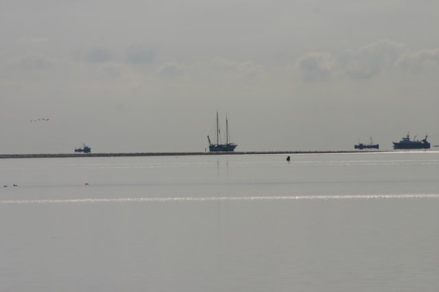 2009Zeilen173.jpg