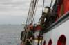 2009Zeilen031_small.jpg