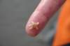 2009Zeilen096_small.jpg