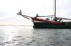 2009Zeilen128_small.jpg