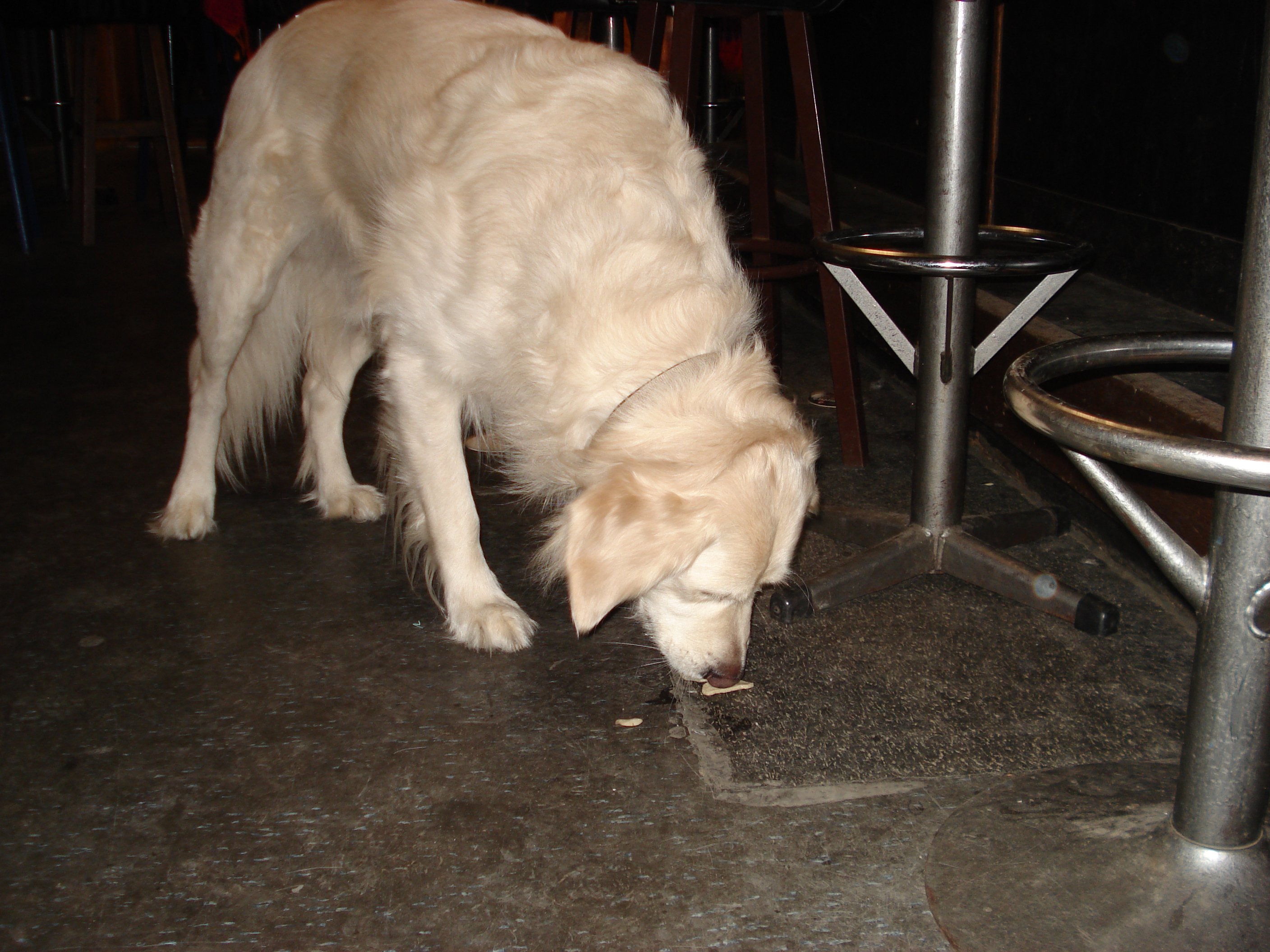 2010Eten004.jpg
