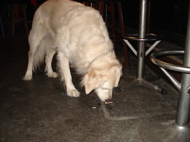 2010Eten004.jpg