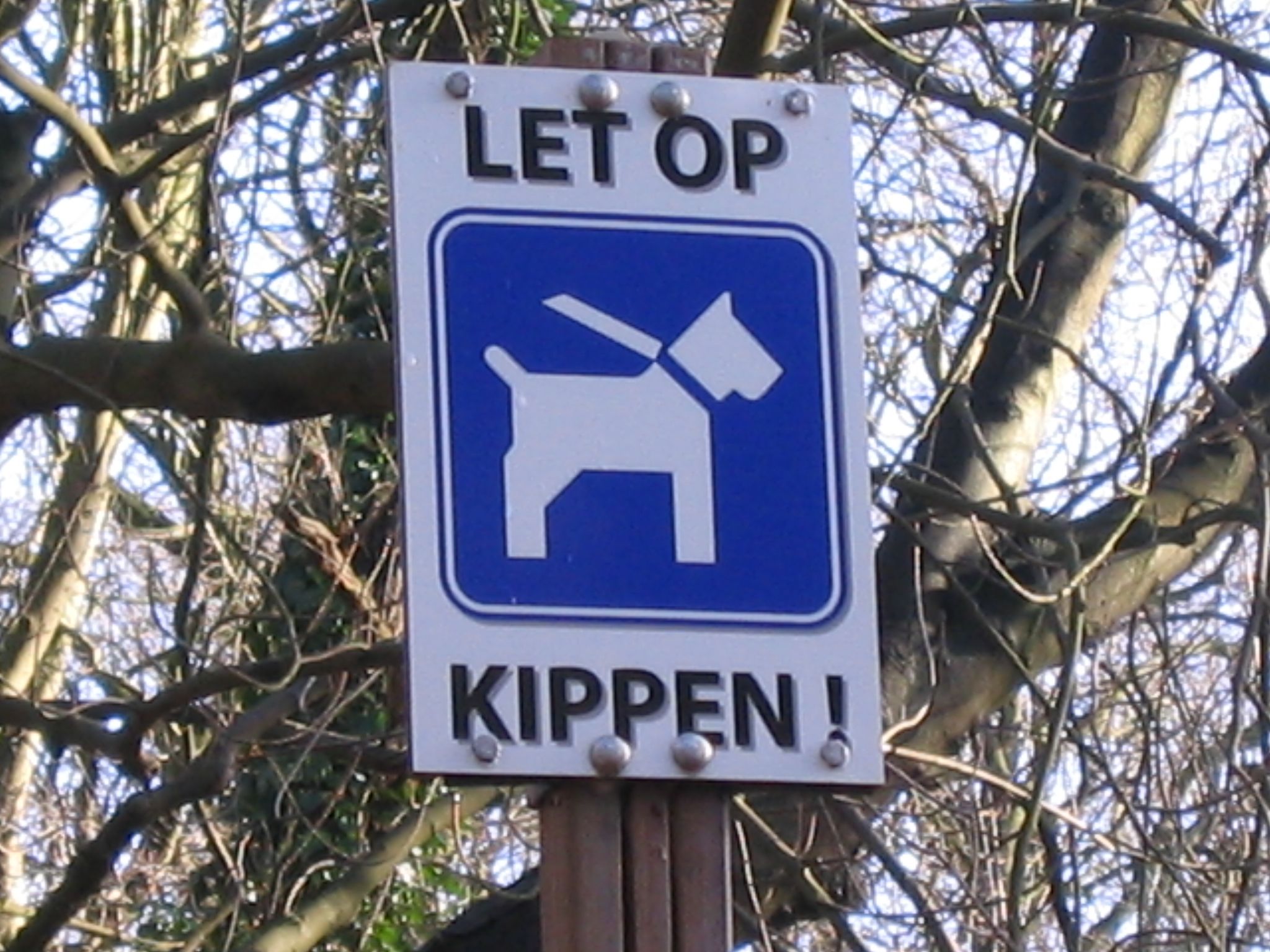 nwk025.jpg