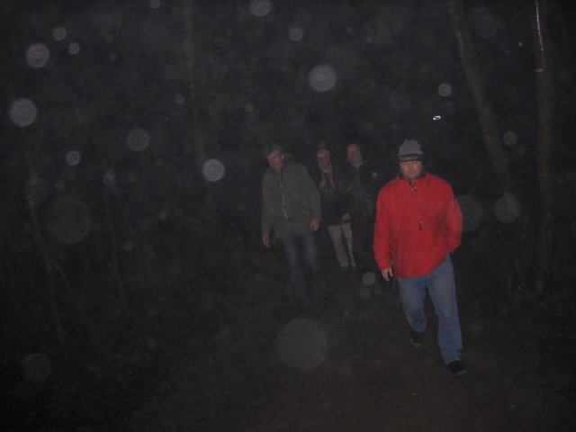 nwk015.jpg