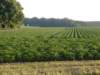Compilatie080_small.jpg