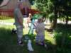 Compilatie084_small.jpg