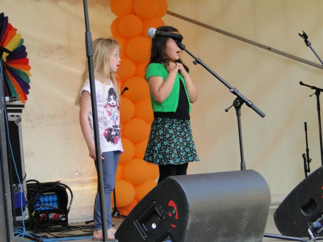 2011Koninginnedag134.jpg