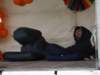 2011Koninginnedag001_small.jpg