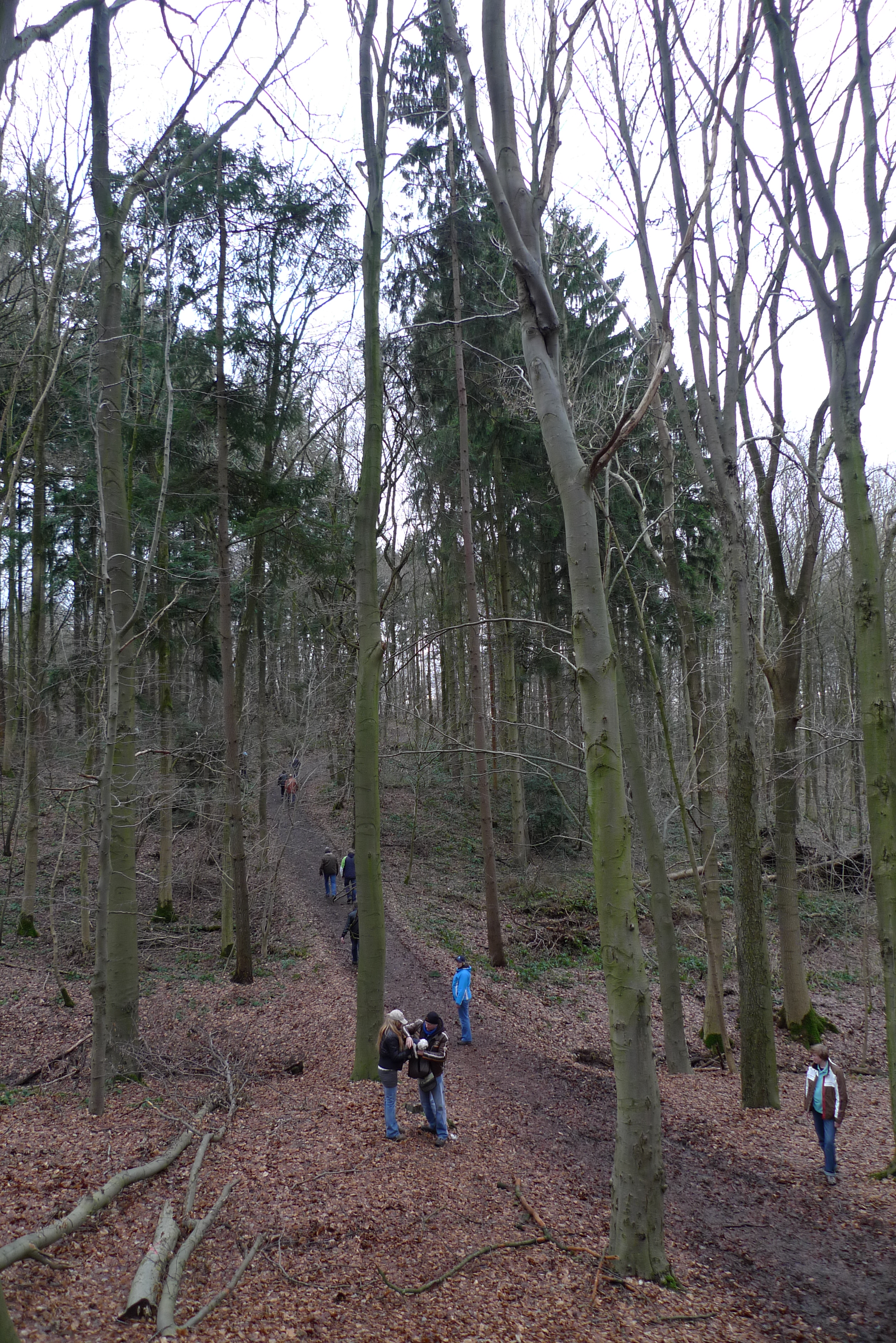 NWK2011005.jpg
