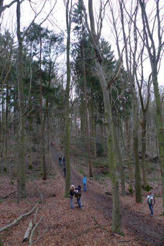 NWK2011005.jpg
