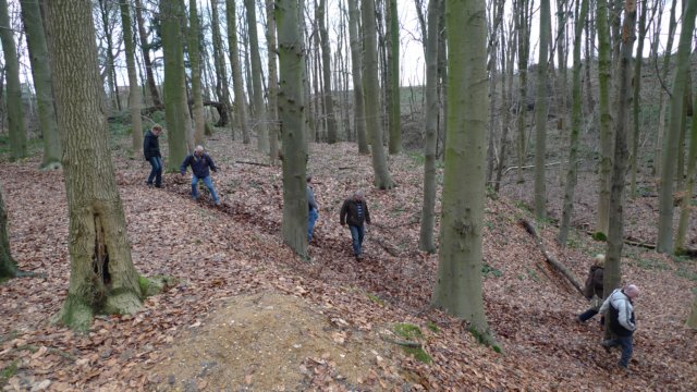 NWK2011006.jpg