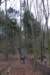 NWK2011005_small.jpg