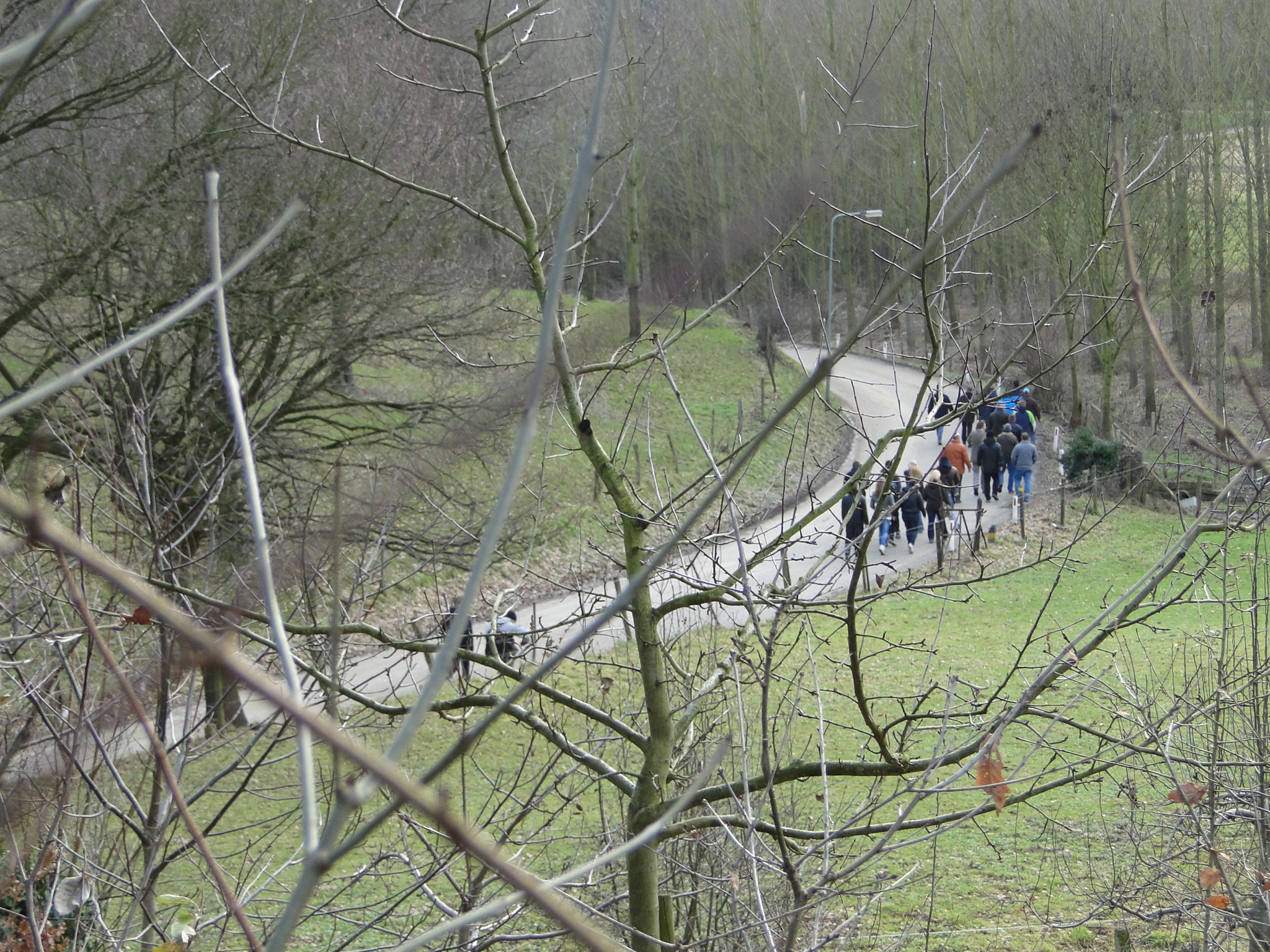 2011NWK049.jpg