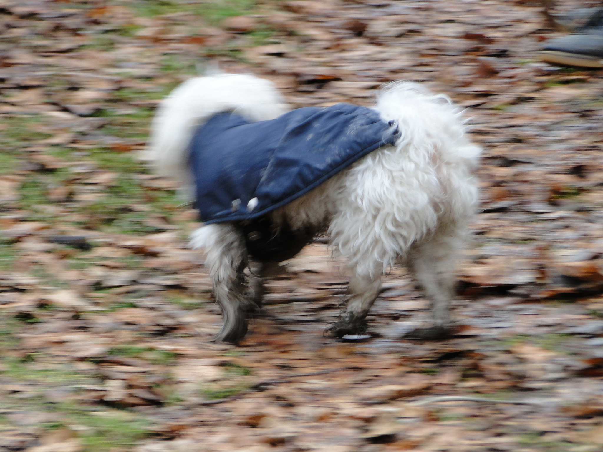 2011NWK061.jpg