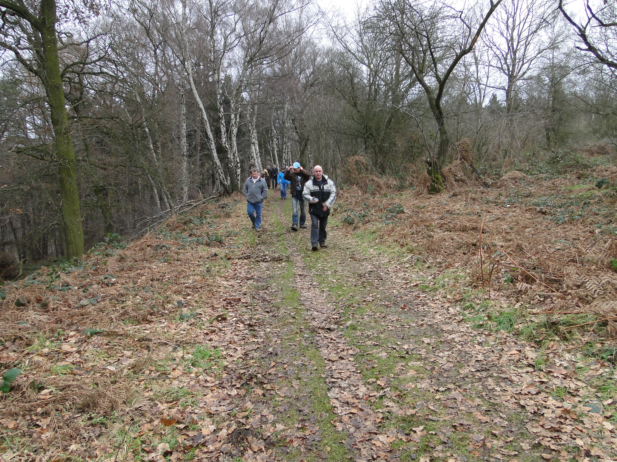 2011NWK062.jpg