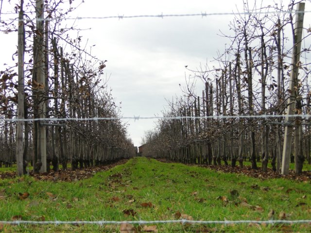 2011NWK038.jpg