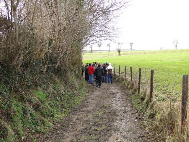 2011NWK040.jpg