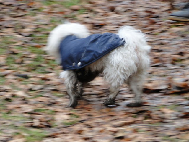 2011NWK061.jpg